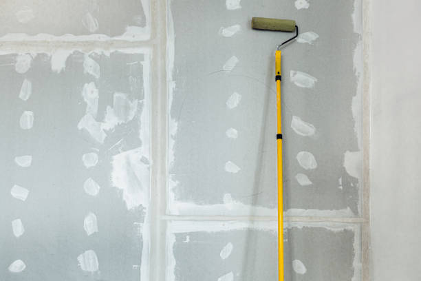 Best Drywall Removal and Disposal  in Hudson, WI